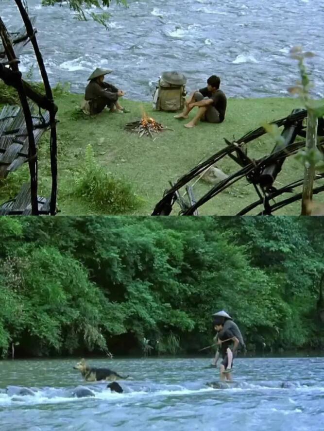 《那山那人那狗》国内票房几乎0,日本奉为神作