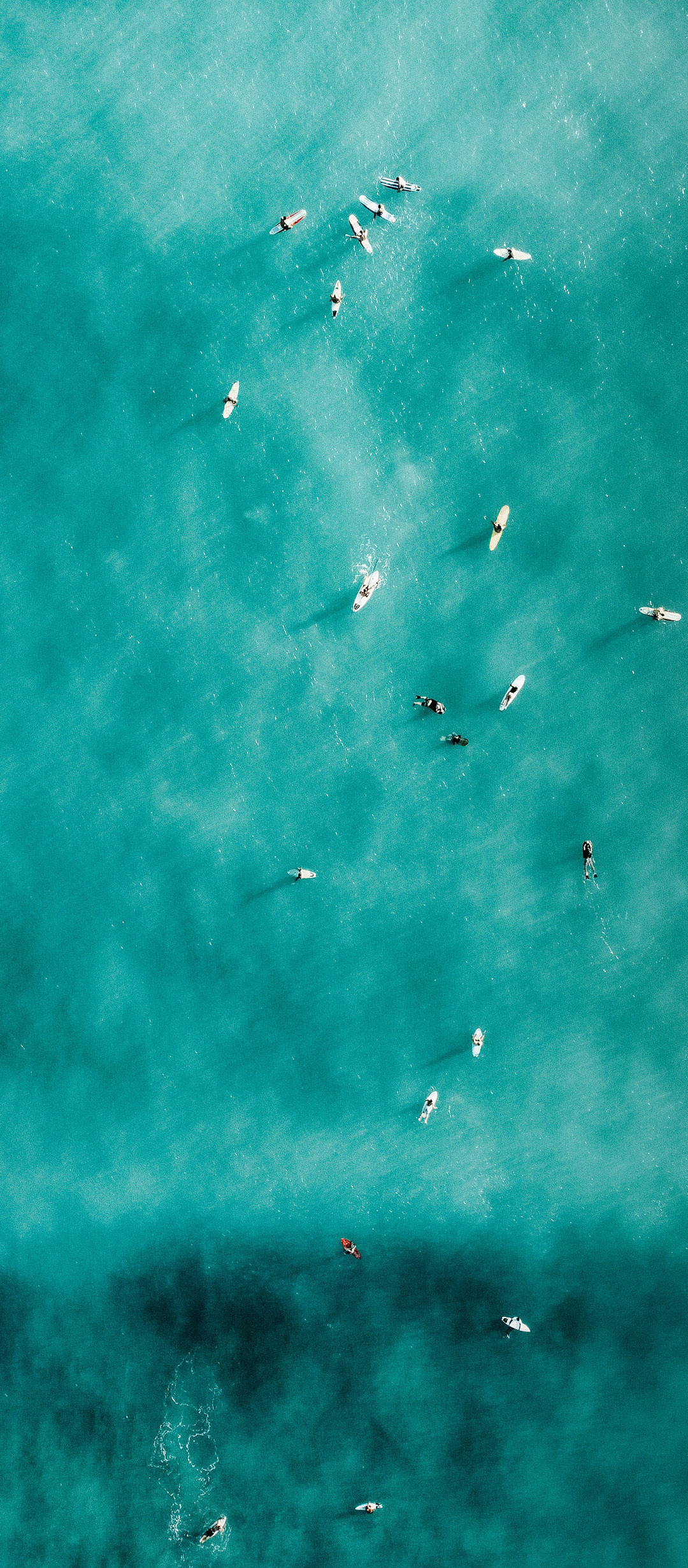 水蓝色水中的独木舟