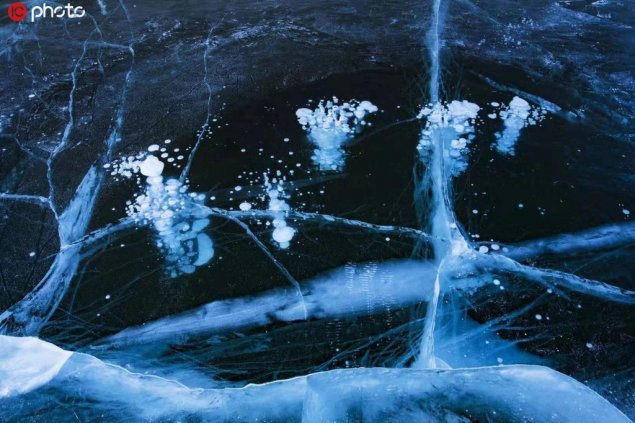 艺术发调查表问学生家房价和户型 被质疑摸家底