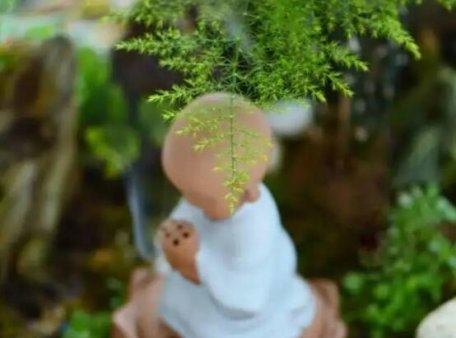 “人心若静，积德积福”：静到极致，那是你此生最上乘的风水