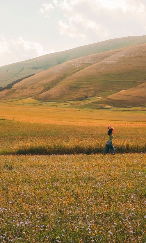 在草地上向上伸展