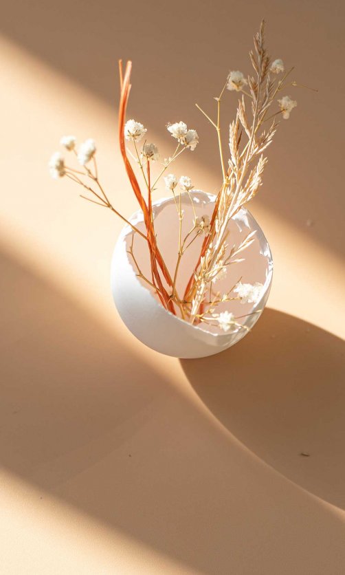 有干花的白色蛋壳