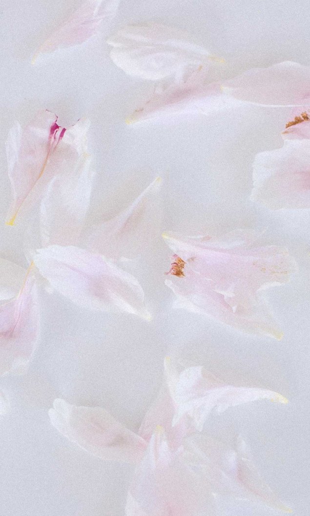 柔和的粉红色花瓣