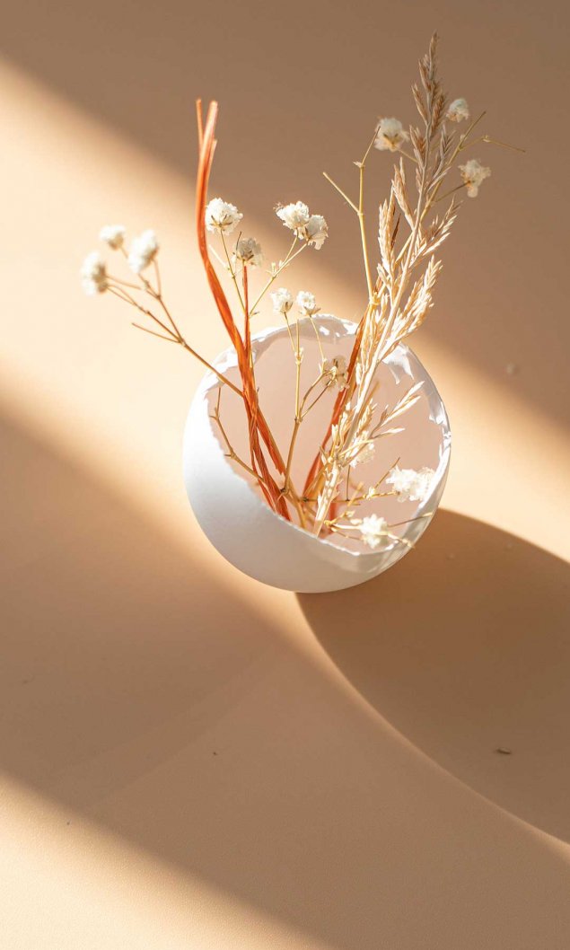 有干花的白色蛋壳